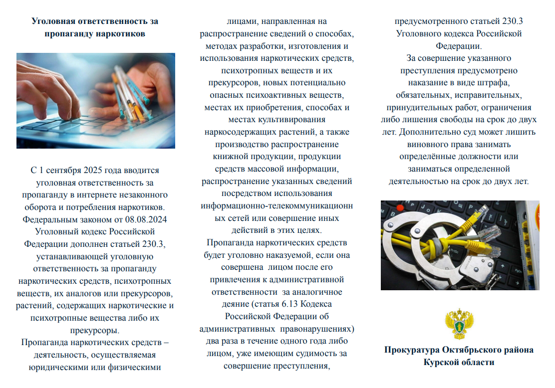 Уголовная ответственность за пропаганду наркотиков.